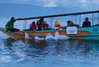 Sinergi Nyata Bupati Monadi & PT KMH: Tebar Benih Ikan Demi Masa Depan Ekosistem Kerinci