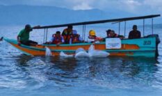 Sinergi Nyata Bupati Monadi & PT KMH: Tebar Benih Ikan Demi Masa Depan Ekosistem Kerinci