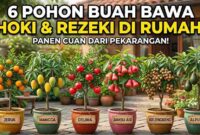 6 Pohon Buah Ini Dipercaya Bawa Hoki dan Rezeki ke Rumah (Foto: AI)