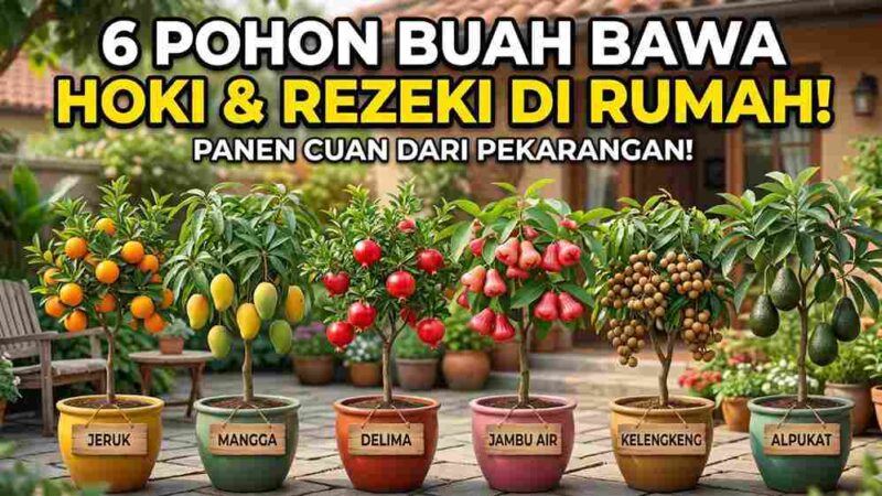 6 Pohon Buah Ini Dipercaya Bawa Hoki dan Rezeki ke Rumah (Foto: AI)