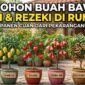 6 Pohon Buah Ini Dipercaya Bawa Hoki dan Rezeki ke Rumah (Foto: AI)