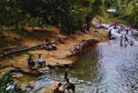 Bahung Basilo, Destinasi Wisata di Renah Kayu Embun (Dok. Bahung Basilo/britainaja.com)