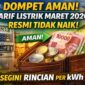 Dompet Aman! Tarif Listrik Maret 2026 Resmi Tidak Naik, Segini Rincian per kWh