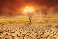 Waspada Penurunan Hujan, Ini Penjelasan BMKG Soal Isu El Nino Ekstrem Tahun Ini (Foto: AI)