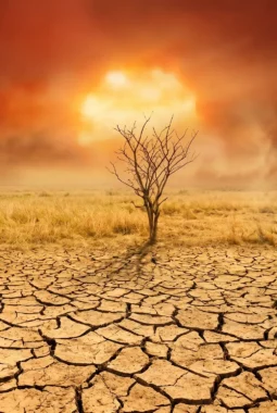 Waspada Penurunan Hujan, Ini Penjelasan BMKG Soal Isu El Nino Ekstrem Tahun Ini