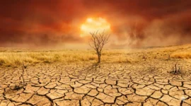 Waspada Penurunan Hujan, Ini Penjelasan BMKG Soal Isu El Nino Ekstrem Tahun Ini (Foto: AI)
