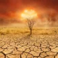 Waspada Penurunan Hujan, Ini Penjelasan BMKG Soal Isu El Nino Ekstrem Tahun Ini (Foto: AI)