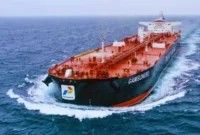 (Foto: Dok. PIS/detik)