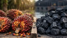 Harga Minyak Dunia Melonjak Drastis 6%, CPO dan Batu Bara Justru Kompak Melemah (Foto: Ai)