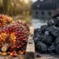 Harga Minyak Dunia Melonjak Drastis 6%, CPO dan Batu Bara Justru Kompak Melemah (Foto: Ai)