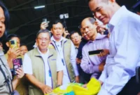 Kepala Bapanas Pastikan Harga Beras SPHP Tetap Stabil dan Tidak Naik (Foto: Biro Humas Kementan/liputan6)