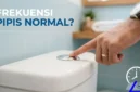 Berapa Kali Frekuensi Pipis Normal dalam Sehari? Simak Penjelasan Medisnya (Foto: AI)