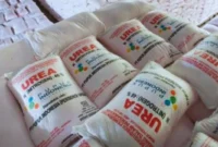 Menkeu Purbaya Pastikan Stok Pupuk Aman dan RI Siap Ekspor ke Australia hingga India (Dok. Humas Pupuk Indonesia)