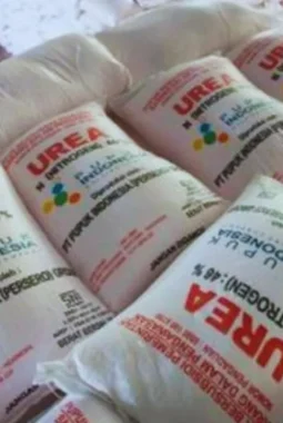 Menkeu Purbaya Pastikan Stok Pupuk Aman dan RI Siap Ekspor ke Australia hingga India