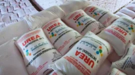 Menkeu Purbaya Pastikan Stok Pupuk Aman dan RI Siap Ekspor ke Australia hingga India (Dok. Humas Pupuk Indonesia)