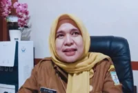 Kepala Dinas Kesehatan Kota Jambi, Elvi Roza