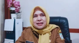 Kepala Dinas Kesehatan Kota Jambi, Elvi Roza