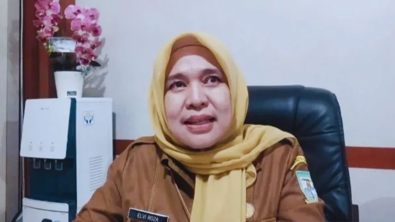 Kepala Dinas Kesehatan Kota Jambi, Elvi Roza
