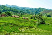 Mengenal Desa Wisata Cisande: Surga Tersembunyi di Sukabumi untuk Pecinta Alam dan Edukasi (Foto: AI)