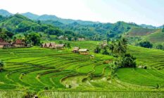 Mengenal Desa Wisata Cisande: Surga Tersembunyi di Sukabumi untuk Pecinta Alam dan Edukasi