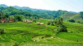 Mengenal Desa Wisata Cisande: Surga Tersembunyi di Sukabumi untuk Pecinta Alam dan Edukasi (Foto: AI)