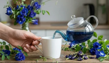 Manfaat bunga telang untuk kesehatan