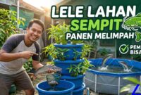 Cara Budidaya Lele di Lahan Sempit agar Panen Melimpah, Cocok untuk Pemula (Foto: AI)