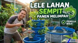 Cara Budidaya Lele di Lahan Sempit agar Panen Melimpah, Cocok untuk Pemula (Foto: AI)