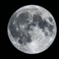 Hiasi Langit Libur Panjang, Inilah Waktu Terbaik Menyaksikan Fenomena Langka Flower Moon 2026 (Foto: Ai)
