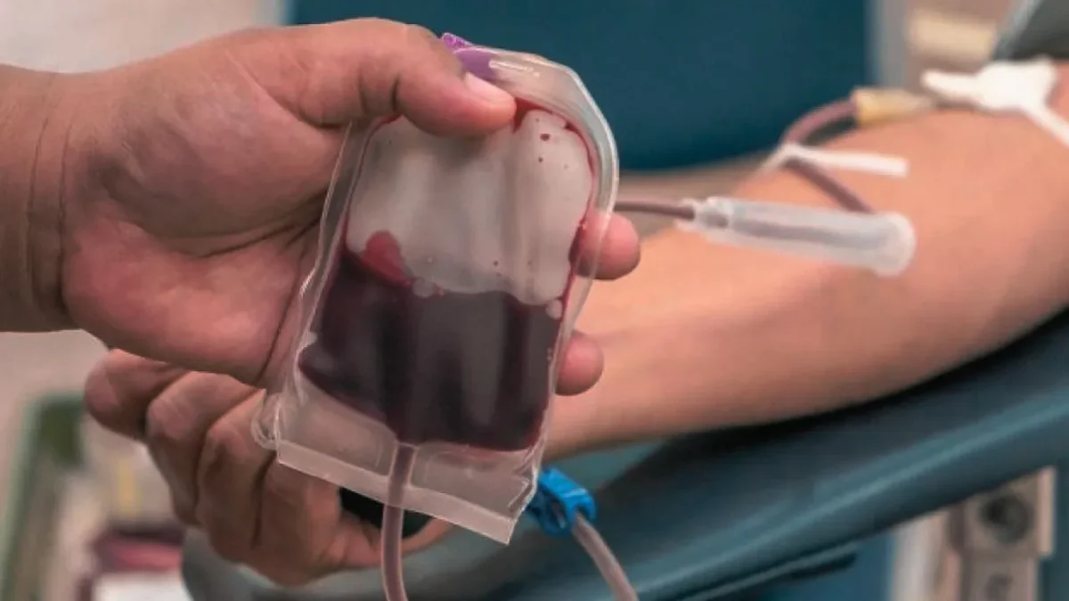 Berapa Bulan Sekali Boleh Donor Darah? Ini Panduan PMI(Foto: stekom)