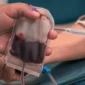 Berapa Bulan Sekali Boleh Donor Darah? Ini Panduan PMI(Foto: stekom)