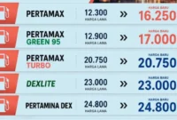 Harga Pertamax Naik, Dana Talangan Pertamina Sudah Mentok
(Foto: Dok
Mypertamina
/lintasgayo)