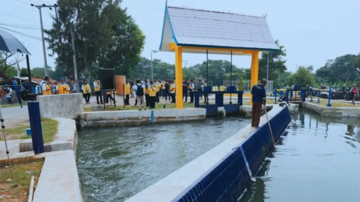 Pemerintah Genjot Pembangunan Irigasi Demi Swasembada Pangan(Foto: ist
/kumparan)