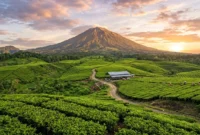 Rekomendasi Wisata Alam Kerinci Terbaik untuk Libur Sekolah
(Foto: AI)