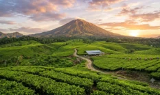 Rekomendasi Wisata Alam Kerinci Terbaik untuk Libur Sekolah
