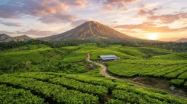 Rekomendasi Wisata Alam Kerinci Terbaik untuk Libur Sekolah
(Foto: AI)