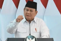 Prabowo Klaim Swasembada Pangan Tercapai dalam Satu Tahun