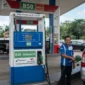 B50 Ditargetkan Tersedia di Seluruh SPBU Mulai 1 Oktober 2026
(Foto: AI)