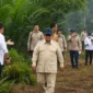 Karhutla Kalimantan Membara, Prabowo Yakin Api Segera Dikendalikan
(Foto: YouTube Sekretariat Presiden RI/kaltim.tribunnews/AI)