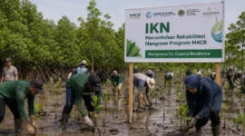 Bukan Sekadar Tanam Mangrove, IKN Siap Jadi Model Pemulihan Pesisir Indonesia
(Foto: Dok. BerandaPost.
/emitennews)