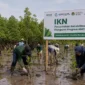 Bukan Sekadar Tanam Mangrove, IKN Siap Jadi Model Pemulihan Pesisir Indonesia
(Foto: Dok. BerandaPost.
/emitennews)